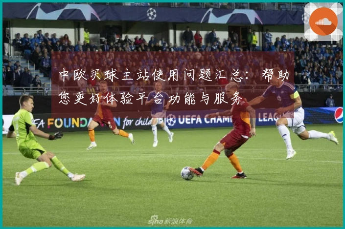中欧买球主站使用问题汇总：帮助您更好体验平台功能与服务