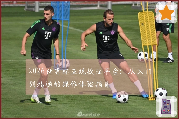 2026世界杯正规投注平台：从入门到精通的操作体验指南