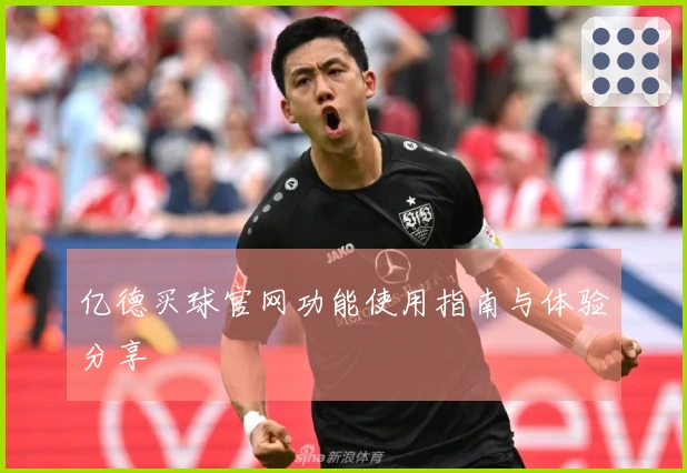亿德买球官网功能使用指南与体验分享