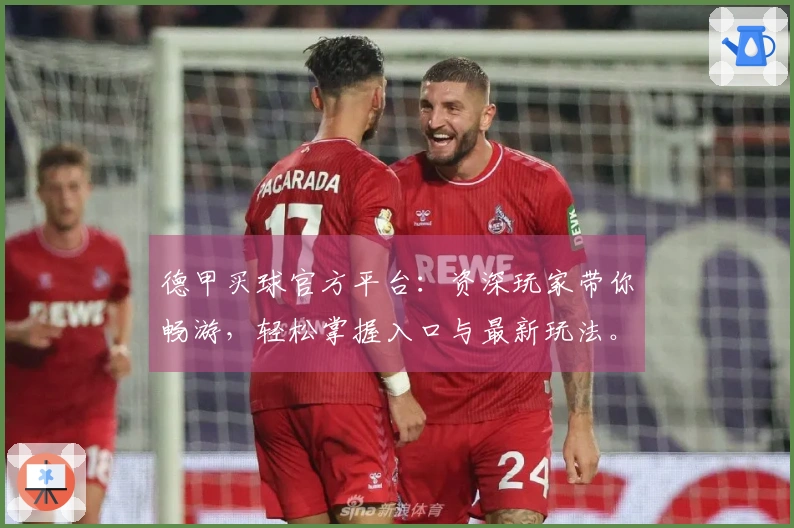 德甲买球官方平台：资深玩家带你畅游，轻松掌握入口与最新玩法。