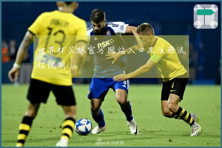 世界杯买球官方网站入口及注册流程说明