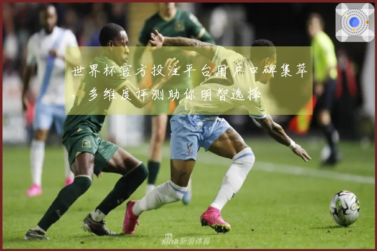 世界杯官方投注平台用户口碑集萃，多维度评测助你明智选择