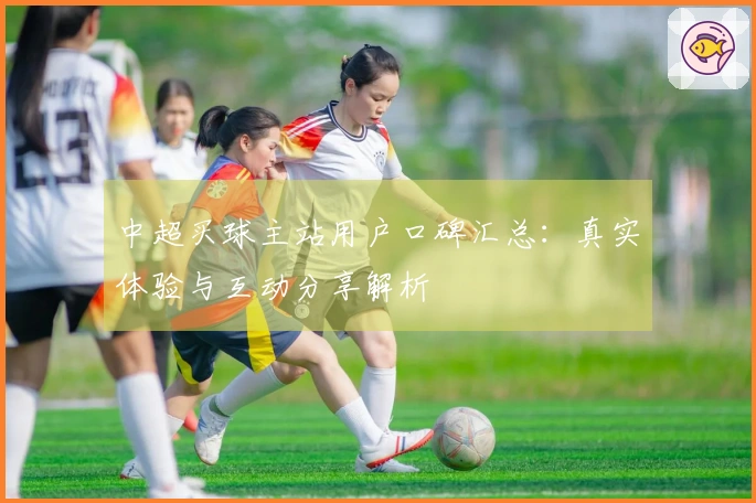 中超买球主站用户口碑汇总：真实体验与互动分享解析