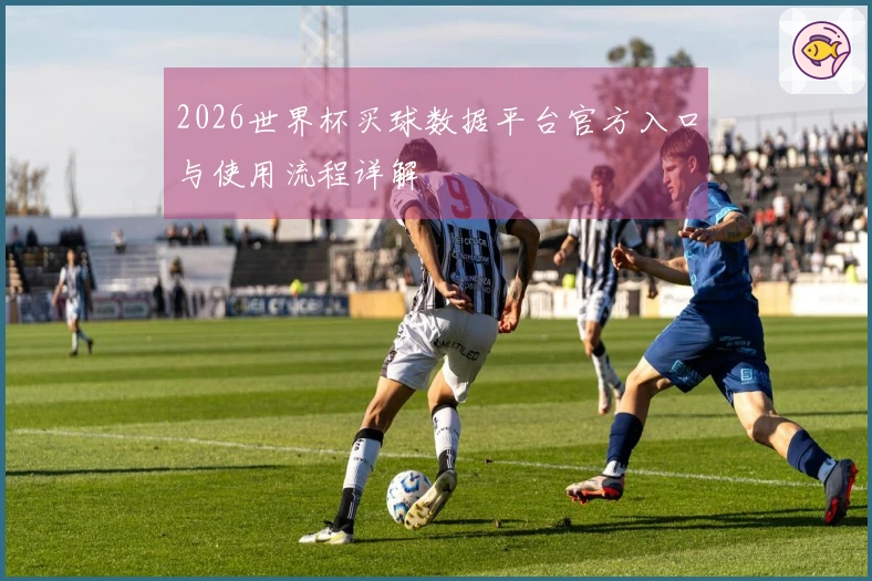 2026世界杯买球数据平台官方入口与使用流程详解