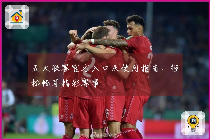 五大联赛官方入口及使用指南，轻松畅享精彩赛事